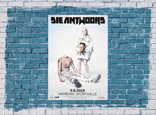 Die Antwoors - DntTakeMe4aPoes, Hamburg 2019 - Konzertplakat