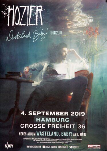 Holzier - Wasteland Baby, Hamburg 2019 - Konzertplakat