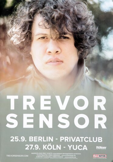 Trevor Sensor - Andy Warhols Dream, Tourneedaten 2017 - Konzertplakat
