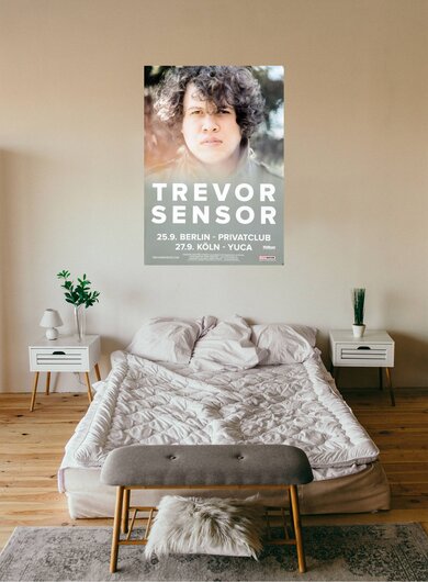 Trevor Sensor - Andy Warhols Dream, Tourneedaten 2017 - Konzertplakat