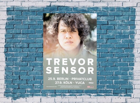 Trevor Sensor - Andy Warhol´s Dream, Tourneedaten 2017 - Konzertplakat