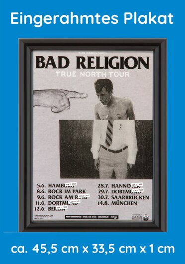 BAD RELIGION,  2013