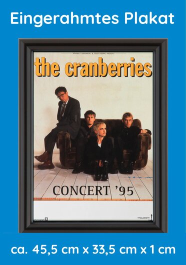 THE CRANBERRIES,  1995
