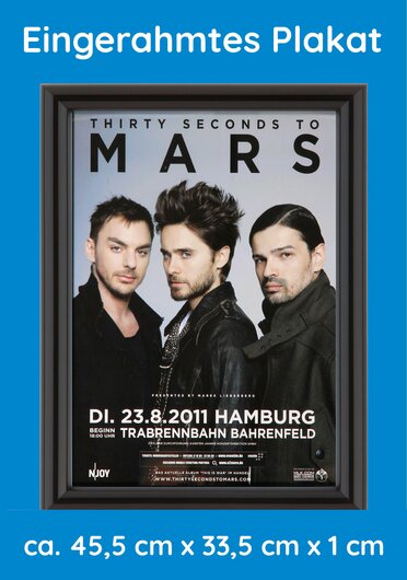 THIRTY SECONDS TO MARS, Hamburg 2011