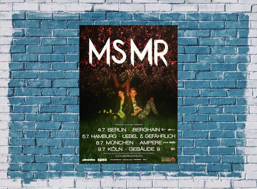 MS MR - Think Of You, Tour 2013 - Konzertplakat