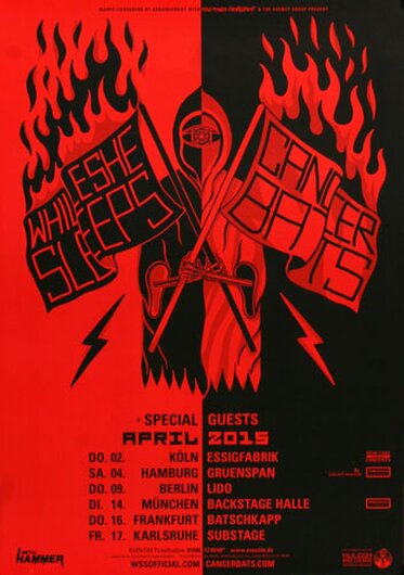 Cancer Bats - Brainwashed, Tour 2015 - Konzertplakat
