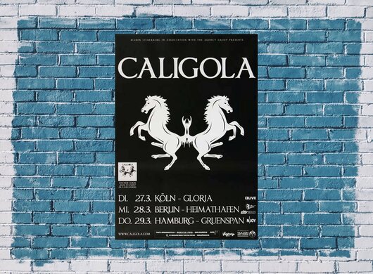 Caligola - Back To Earth, Tour 2013 - Konzertplakat