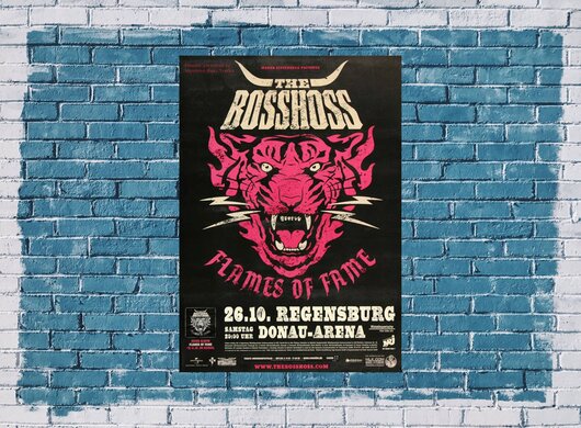 The BOSSHOSS - Pink , Regensburg 2013 - Konzertplakat