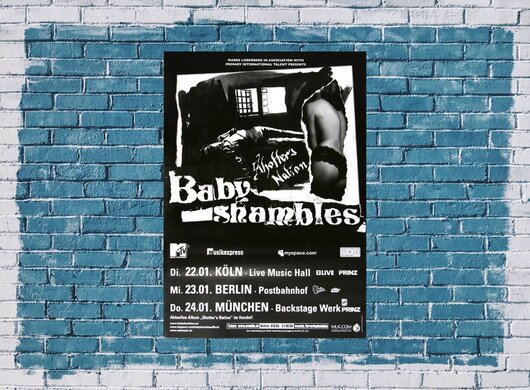 Babyshambles - Shoffer Nation, Tour 2008 - Konzertplakat